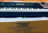 Novi Yamaha MODX8+ 88 tipki sintisajzer, Yamaha MODX7+ 76 tipki, Yamaha Montage 8 88 tipki, Yamaha Montage 7, Yamaha Genos2 XXL 76 tipki, Yamaha GENOS 76 tipki, Tyros 5, Tyros 4, Motif XF8, Yamaha PSR-SX900, Yamaha PSR-A5000, Korg Kronos2 61 tipka, KORG KRONOS2-88LS 88 tipka, Korg Kronos X 61 tipka / Korg Oasys88 88 tipki, Korg Pa5X 76: 76 tipki (E1-G7), Korg Pa4X 76 tipki Oriental MG2, Korg Pa1000 MG sa 61 tipkom Izdanje, Korg M3 Workstation, Ketron EVENT klavijatura sa 61 tipkom, Ketron SD80-kromatska tipkovnica/ Ketron SD60/SD60K, Ketron SD9, Ketron SD7, Ketron SD90 modul aranžera, Nord Electro 6D sa 61 tipkom, Yamaha Montage 8, Roland FANTOM-8, Roland Fantom-X8 , Roland Fantom G8